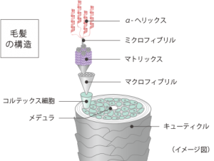 横浜駅近辺で取扱店 最高級トリートメントａｕｊｕａ オージュア とは 横浜の美容室 加藤隆史 カトウタカシ ブログサイト